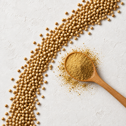 Coriander Powder creative flat lay