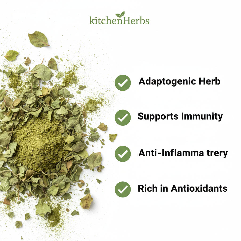 Dry Tulsi Benefits Infographic