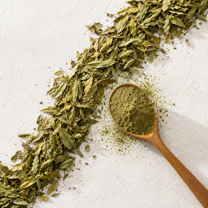 Senna Leaves Powder creative flat lay