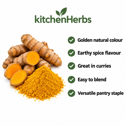 Turmeric Powder Selum benefits infographic
